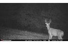 Property photo 76 - LAND AUCTION - 1,682+/- ACRES OFFERED IN 17 TRACTS IN LEWIS & GREENUP COUNTIES, KENTUCKY